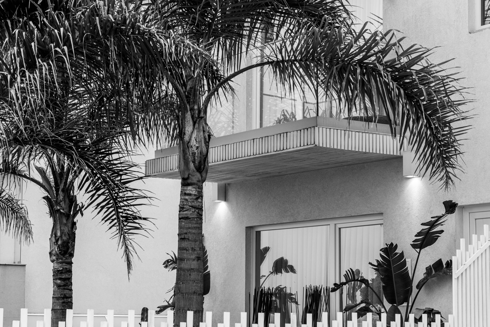 Modern white house framed by palm trees.