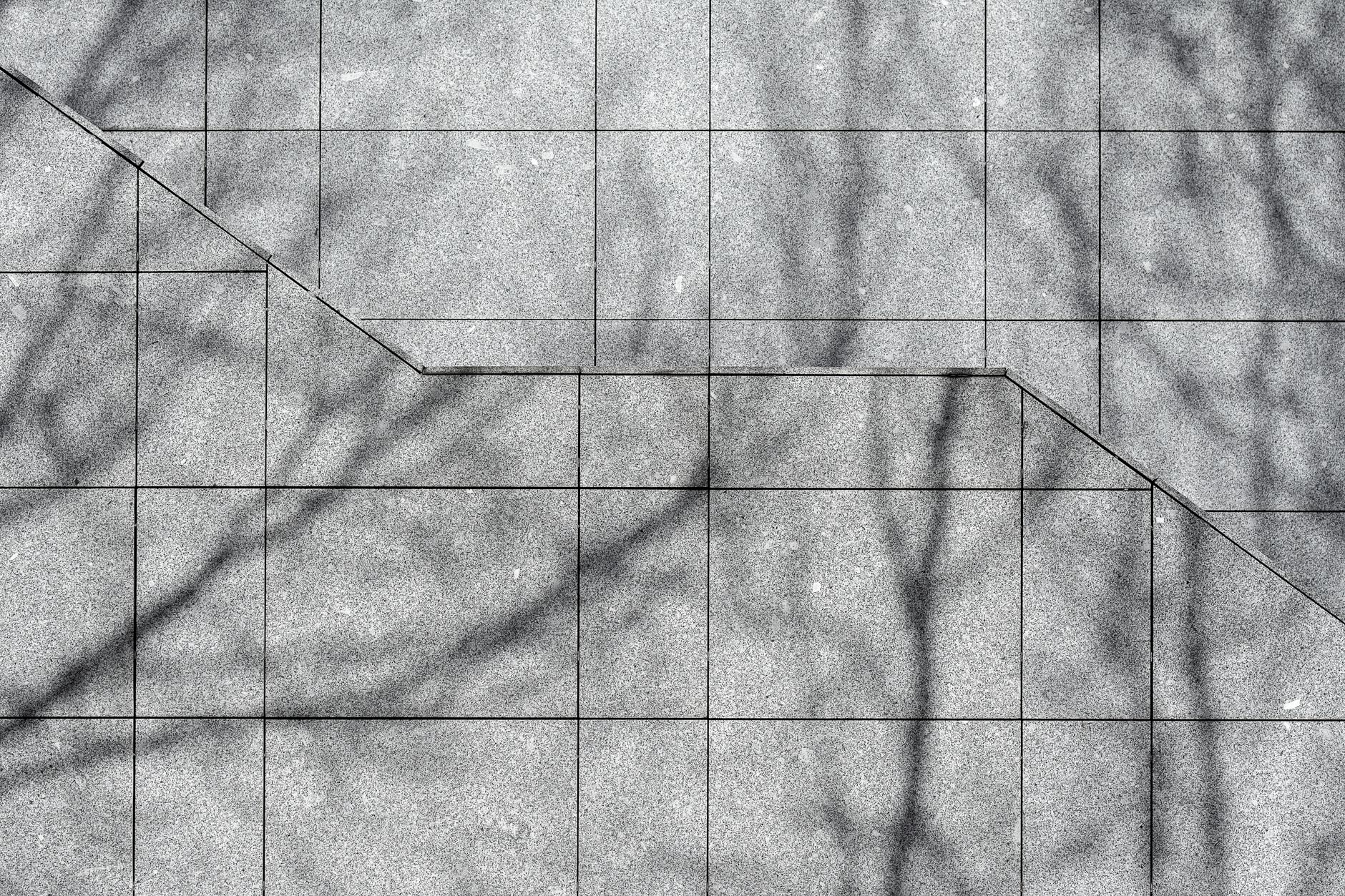 Shadows of branches across a tiled concrete courtyard.